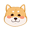 18021612255的头像